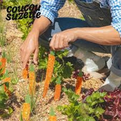 【Coucou Suzette】【ククシュゼット】Carrot にんじん hair claw ヘアクロウ