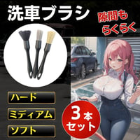 洗車ブラシ　3本　クリーニング　筆 バイク ホイール ディテール カー用品