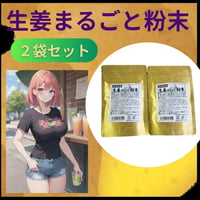 生姜　宮崎県産 生姜まるごと粉末　2袋セット　粉末　保存　隠し味　冷え性　健康