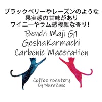 ベンチ・マジG-1 ゲシャ・カルマチ農園 カーボニックマセレーション 150g