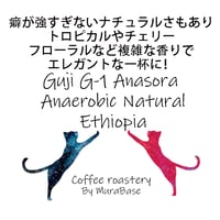 【エチオピア】 グジG-1 アナソラ アナエロビックナチュラル  80g