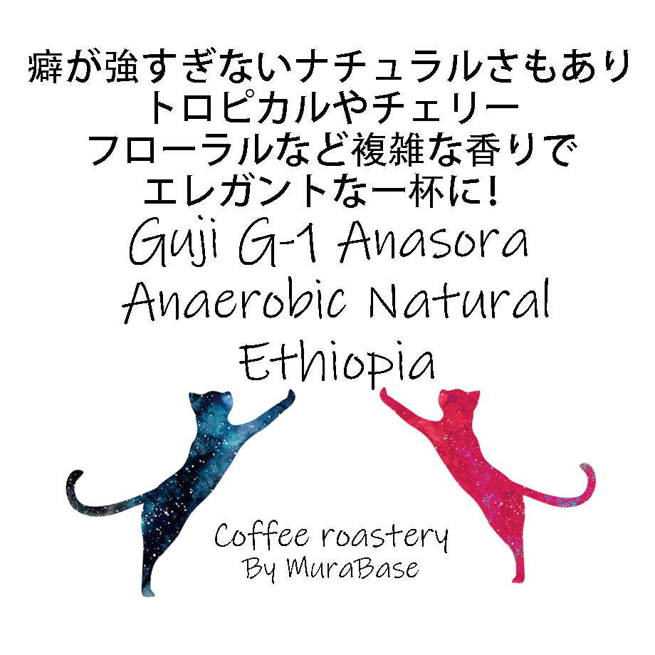 66db0547fd5b070ca6fb5355