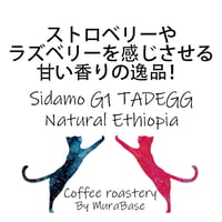 【エチオピア】 シダモG1 タデGG農園 ナチュラル 80g