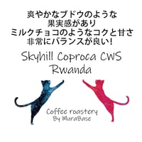 【ルワンダ】スカイヒル コプロカCWS  80g