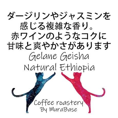 【エチオピア】200g ゲイシャナチュラル