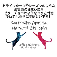 【エチオピア】カルマチェ農園 ゲイシャ ナチュラル