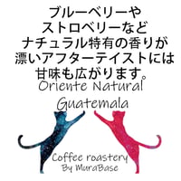 【グアテマラ】 オリエンテ ナチュラル　80g