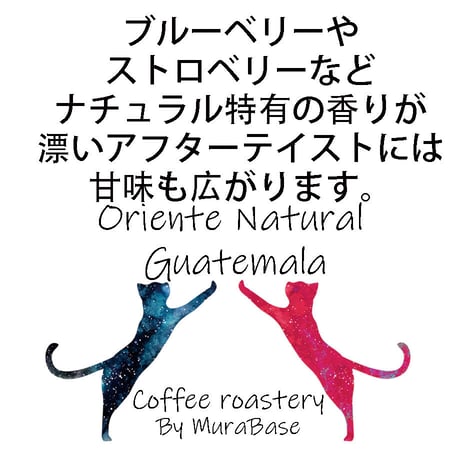 【グアテマラ】 オリエンテ ナチュラル　80g