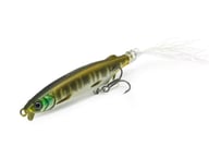 HIDEUP/ハイドアップ COIKE FISH GILL L コイケフィッシュギルL Fec