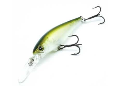 CATEGORY REVONIK/レヴォニック | BOAT&TACKLEクルーズ