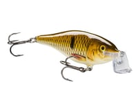 テンフィートアンダー　イェーガーサブスクカラー 1735218408931.jpg