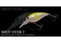 DRT/ディーアールティ Bump Stopper/バンプストッパー (KLASH Ghost