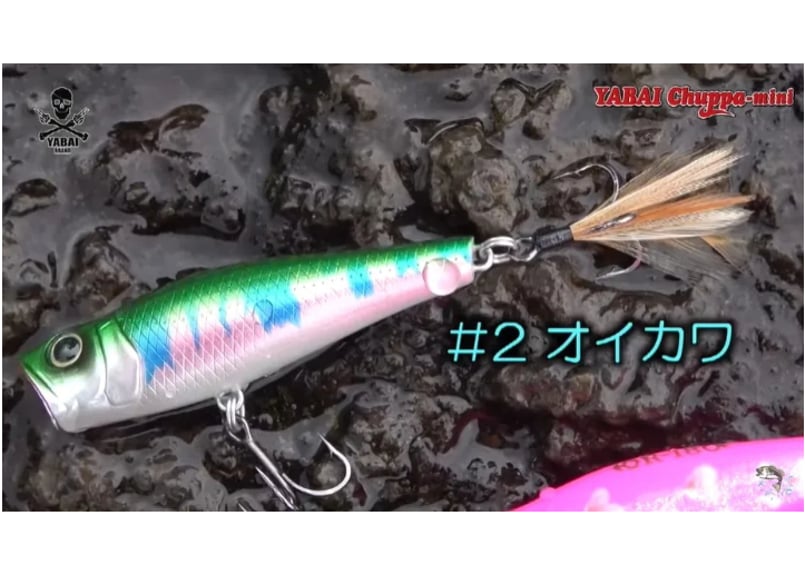 Gary YAMAMOTO/ゲーリーヤマモト YABAI BRAND YABAI Chuppa
