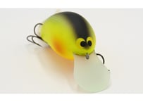 HIDEUP/ハイドアップ Coike 13mm/コイケ13mm Feco認定 | BOAT&