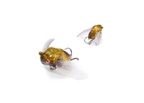 DRT/ディーアールティ TiNY JOKER RIBBIT Brass Rattle /タイ