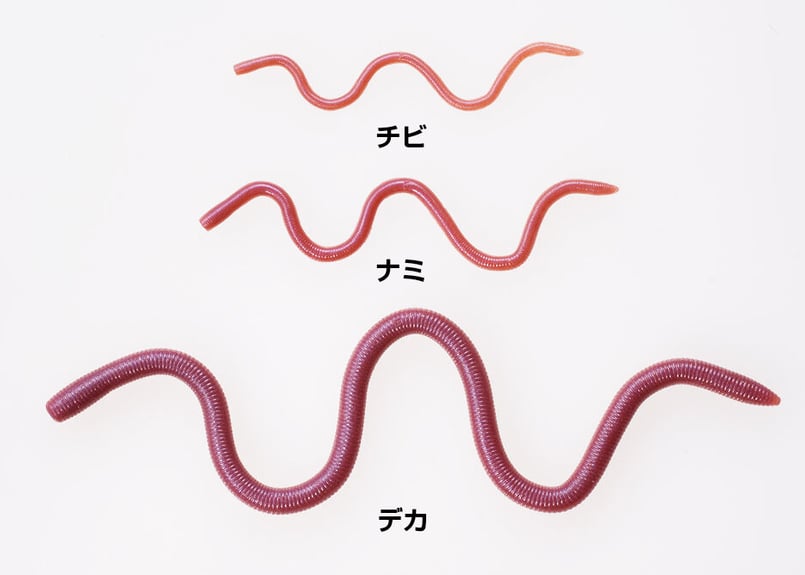 O.S.P/オーエスピー MMZ NAMI/エムエムズィー ナミ Feco認定
