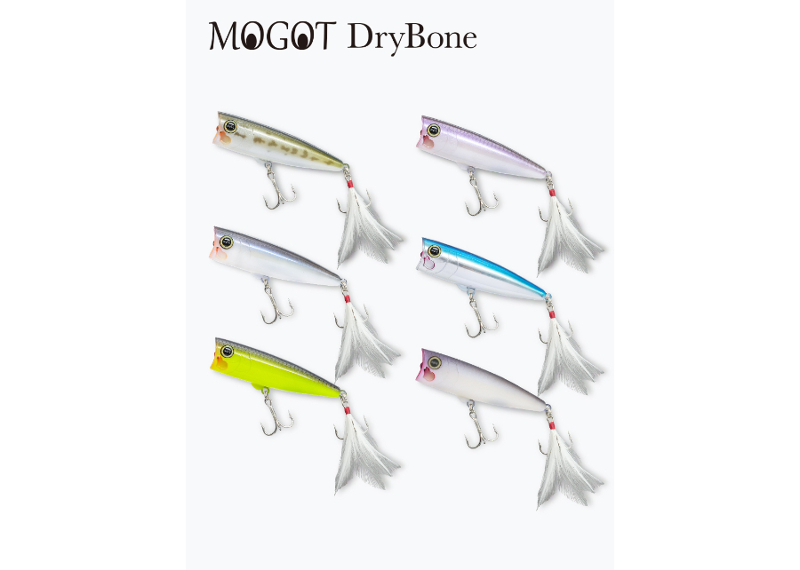 REVONIK/レヴォニック MOGOT DryBone TypeFREE/モゴット ドライボ