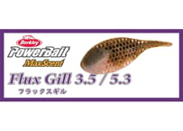 CHIMUSHI/痴虫 PLA KABUMESU/プラカブメス（ワンノッカー） | BOAT&