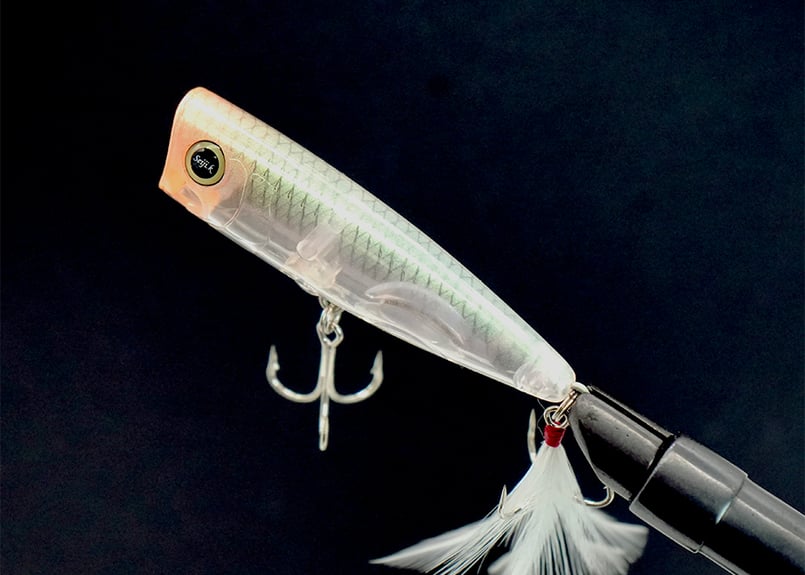 REVONIK/レヴォニック MOGOT(P&D)/モゴット ポップアンドドッグ | BOAT