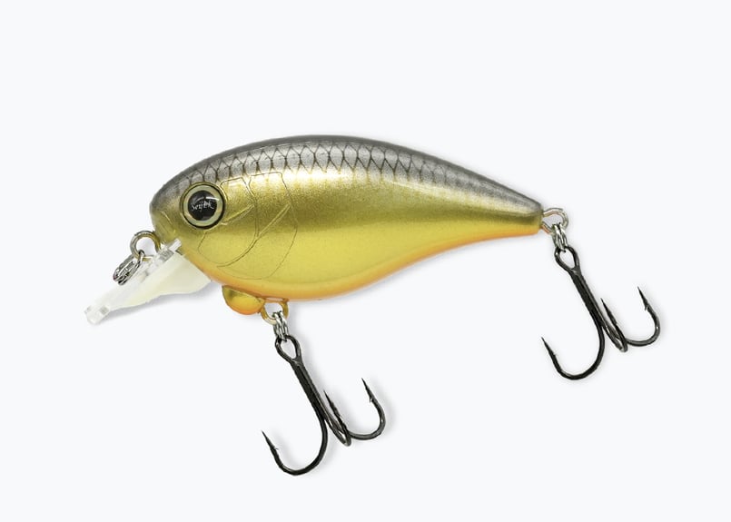REVONIK/レヴォニック Dot SIX ver1.5 DryBone 8HF/ドットシッ