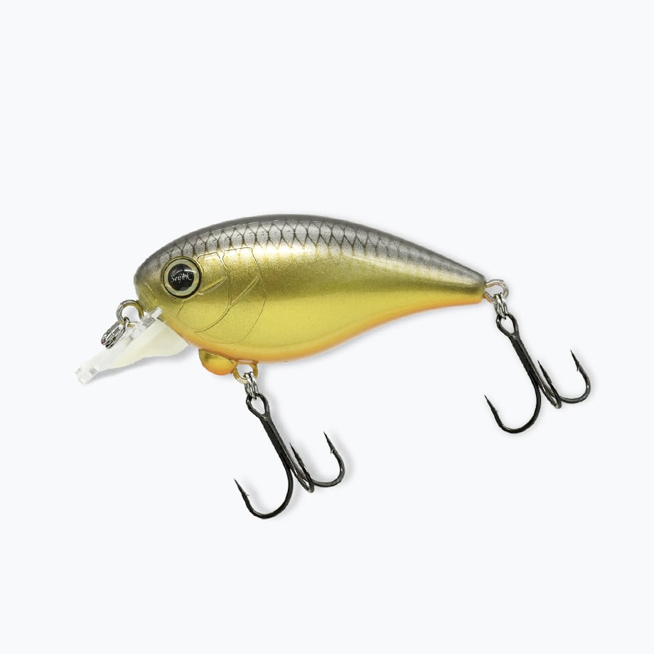 REVONIK/レヴォニック Dot SIX ver1.5 DryBone 8HF/ドットシッ