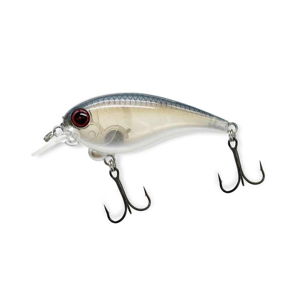 REVONIK/レヴォニック SaraMoa HF/サラモア HF | BOAT&TACKLE