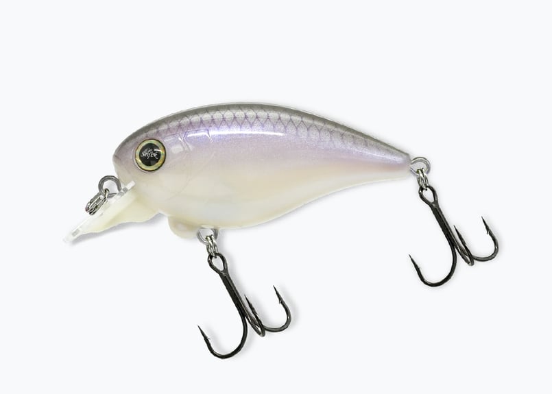 REVONIK/レヴォニック Dot SIX ver1.5 DryBone 8HF/ドットシッ