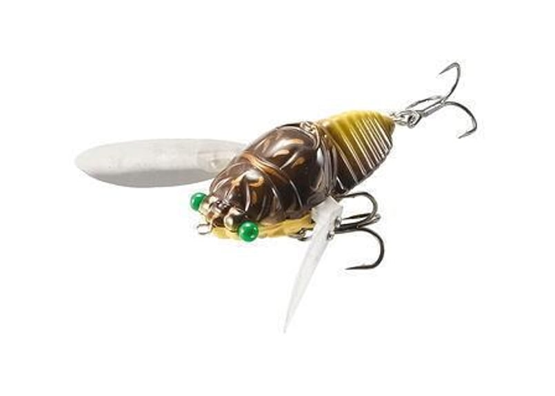 TIEMCO/ティムコ CICADA JUMBO DEAD SLOW/シケイダージャンボデッド