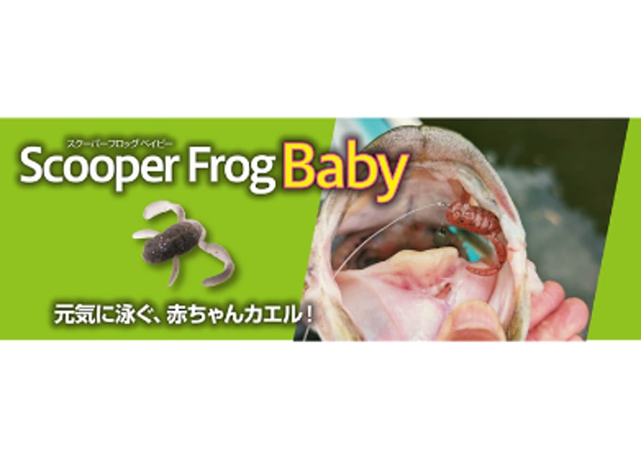 66dee2eeebcaaf0697e484e1