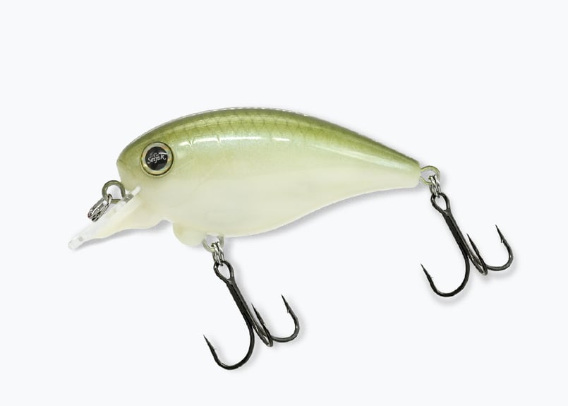 REVONIK/レヴォニック Dot SIX ver1.5 DryBone 8HF/ドットシッ