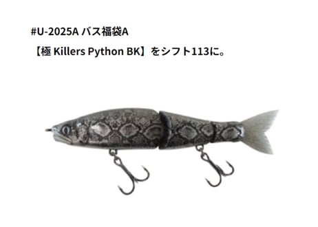ガンクラフト　2023バスセット　GANCRAFT ガンクラフト エスソング 115 バックラッシュオリジナルカラー