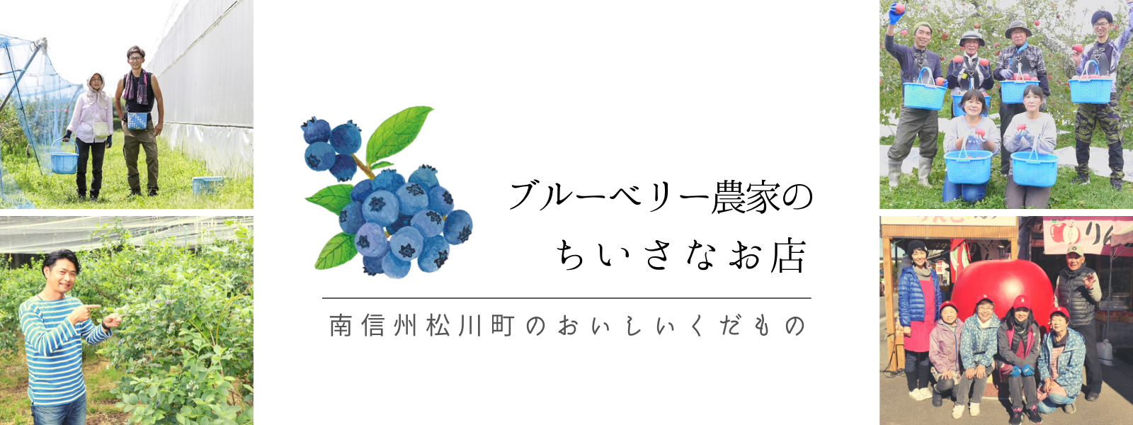 長野県松川町 ブルーベリー通販 ブルーベリー農家の小さなお店