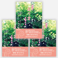 【３冊セット】神話で在り方を整える