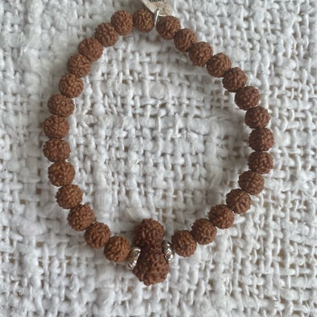 CATEGORY 10面～15面 | Shiwa Rudraksha【シワルドラクシャ工房】バ