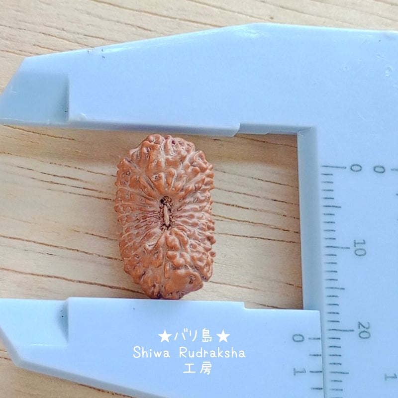 M.T様専用ページ | Shiwa Rudraksha【シワルドラクシャ工房】バリ島の