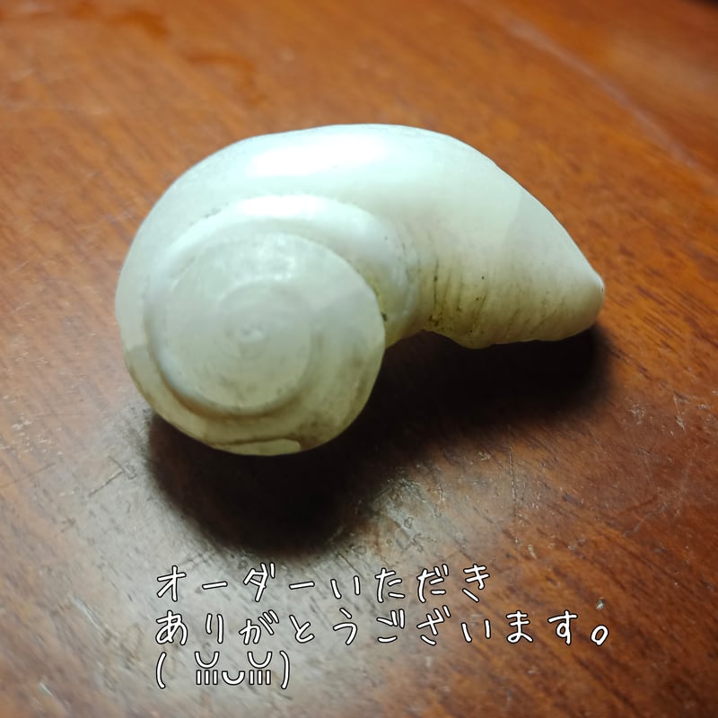 T.M様専用ページ | Shiwa Rudraksha【シワルドラクシャ工房】バリ島の 