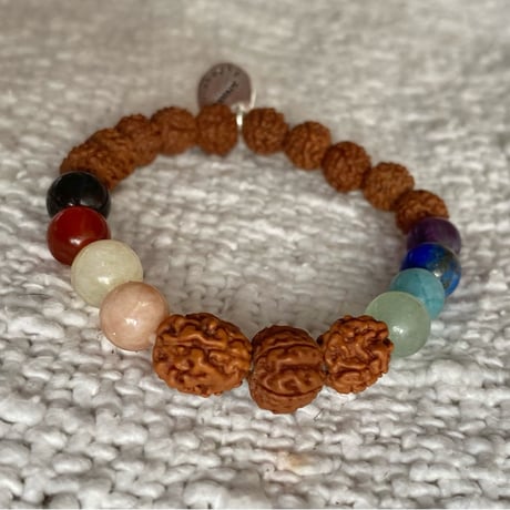 CATEGORY ルドラクシャの面（ムキ） | Shiwa Rudraksha【シワルドラクシ