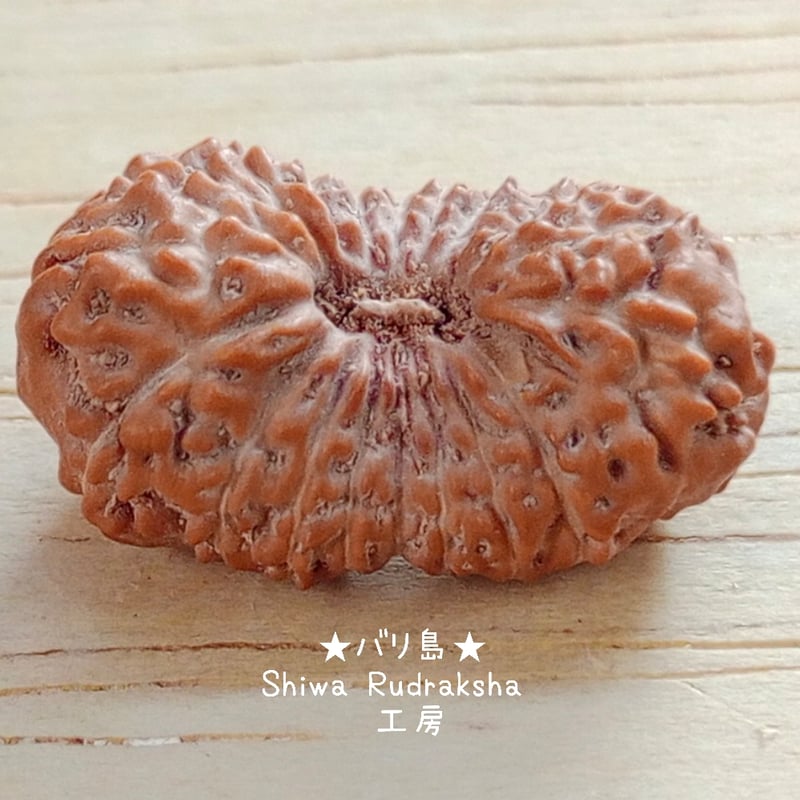 M.T様専用ページ | Shiwa Rudraksha【シワルドラクシャ工房】バリ島の