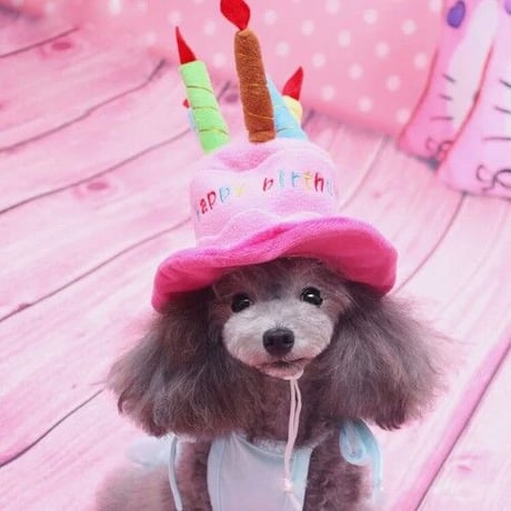 《犬用帽子》お誕生日パーティ帽子 犬帽子 ハッピーバースデーハット バースディ 記念日 ピンク