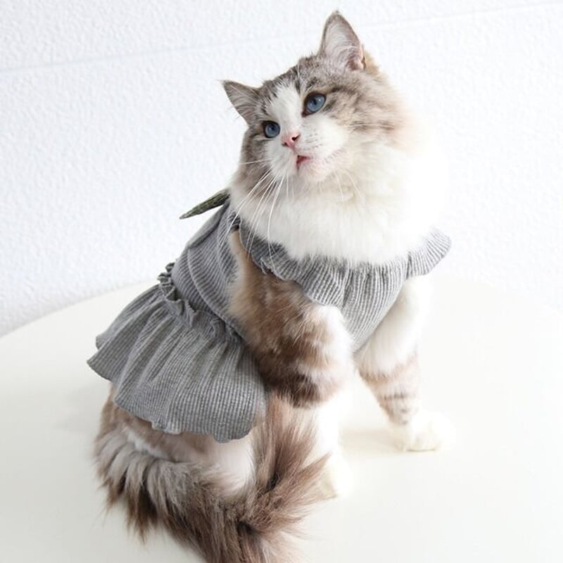 ストア fifiu0026Romeo ワンピース Mサイズ fifiu0026Romeo ワンピース