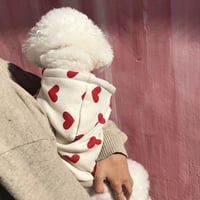 犬服 ハート柄カジュアルパーカー トップス ペット服 犬 おしゃれ かわいい 安い 小型犬 中型犬 大型犬
