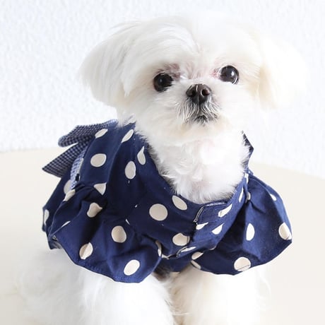 犬服 ドッグウェア フレア袖ドット柄レトロ浴衣 和服 ペット服 犬 おしゃれ かわいい 安い 小型犬 中型犬 大型犬 トイプードル シーズー マルチーズ