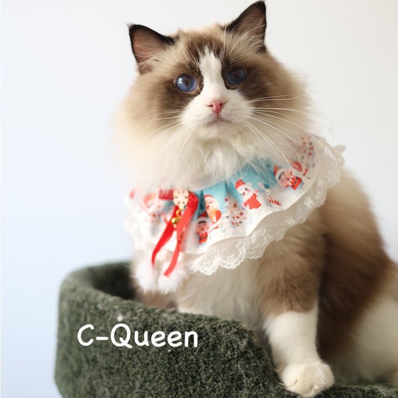 猫ちゃんのXmasアイテム☆C-Queen クリスマスカラー 首輪