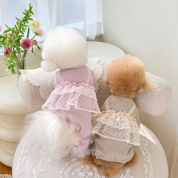 犬服♥️キャミ　フリルロンパース　ピンク　ハンドメイド　オーダー 犬服 レースフリルキャミ重ね着風ロンパース トップス ペット服