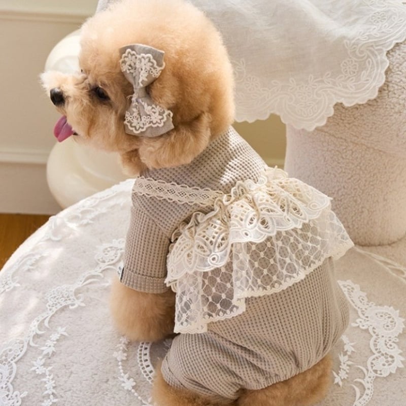 犬服　手編み　うさみみフード付きロンパース 犬服手編みうさみみフード付きロンパース