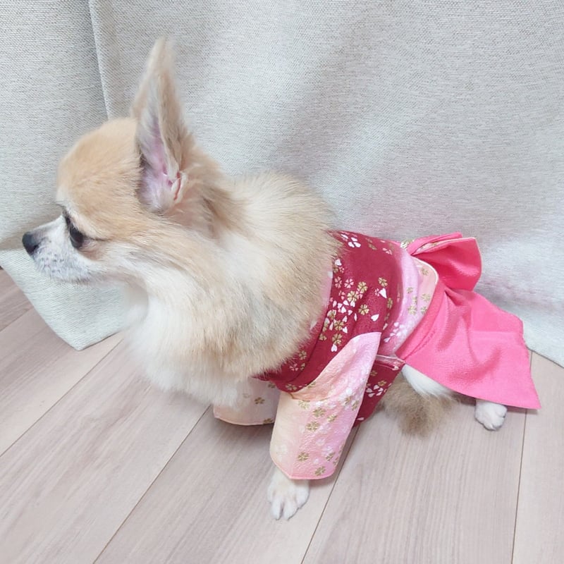 再入荷！！小型犬Sサイズ 着物 袴 犬服 和服 和装 小型犬 ドレス 
