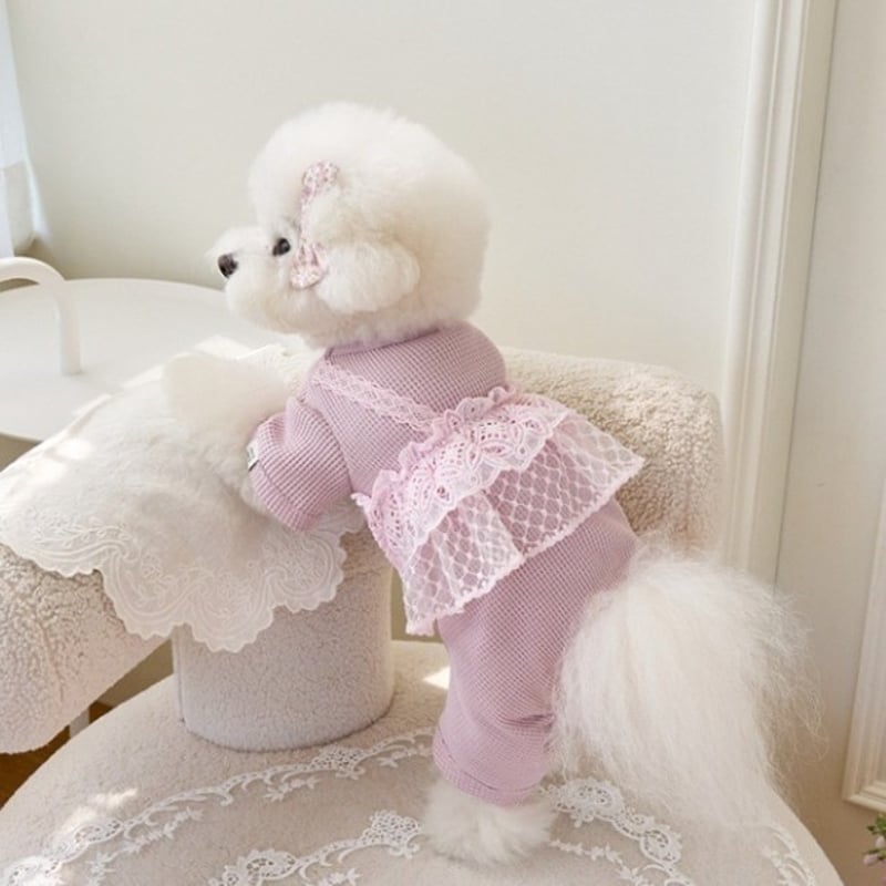 犬服♥️キャミ　フリルロンパース　ピンク　ハンドメイド　オーダー 犬服 レースフリルキャミ重ね着風ロンパース トップス ペット服