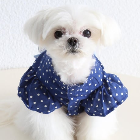 犬服 ドッグウェア フレア袖ドット柄レトロ浴衣 和服 ペット服 犬 おしゃれ かわいい 安い 小型犬 中型犬 大型犬 トイプードル シーズー マルチーズ
