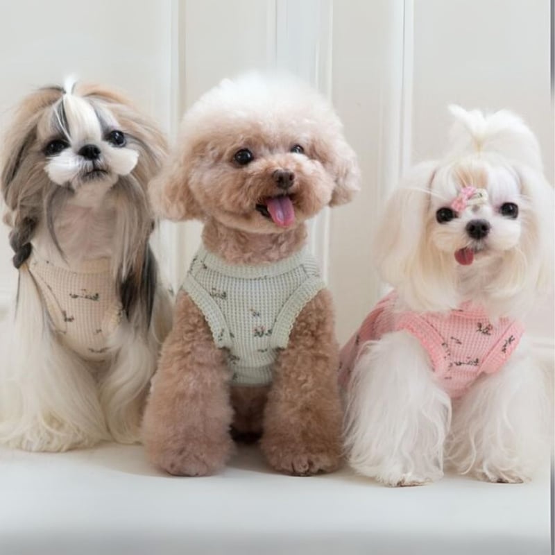 犬服 小花柄ワッフルワンピース ペット服 犬 おしゃれ かわいい 安い