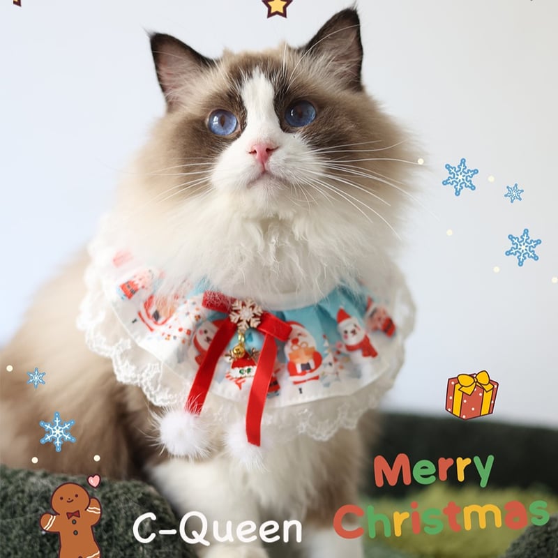 クリスマスシリーズ(赤プレゼントBox)わんちゃん猫ちゃん用首輪